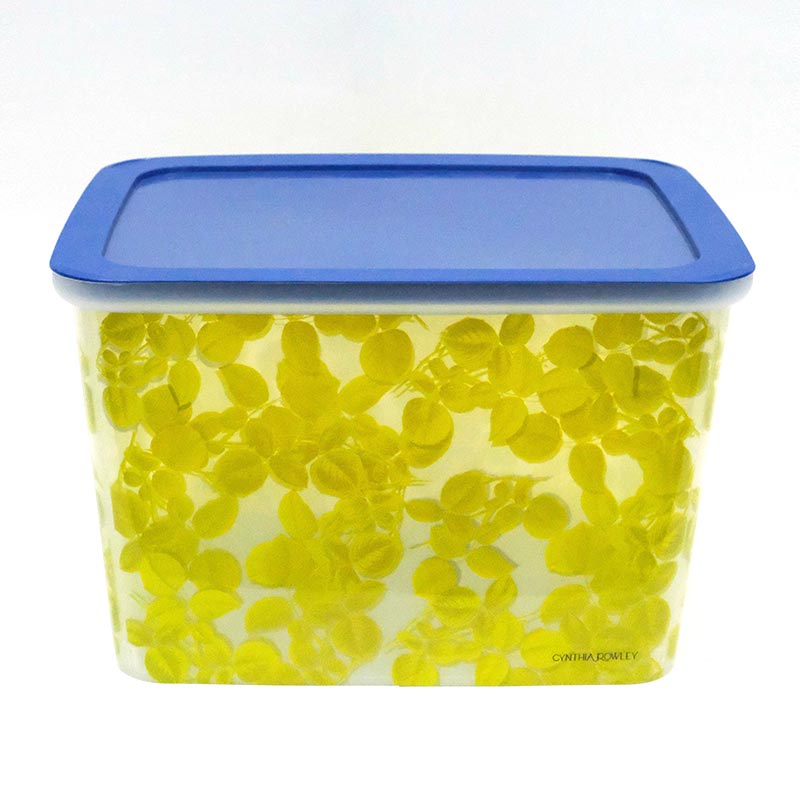 Moldagem por injeção de caixa de classificação na etiqueta do molde