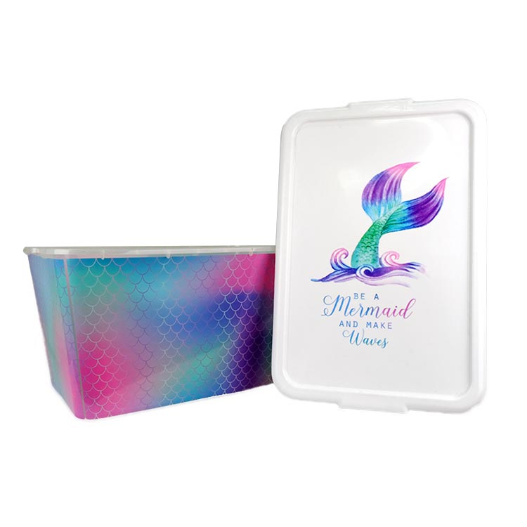 Moldagem por injeção do organizador de armazenamento na etiqueta do molde